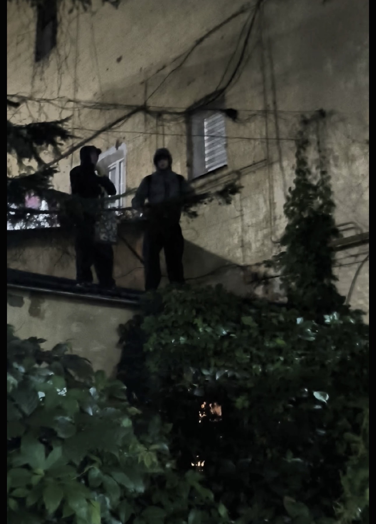 Вандалы снова в деле: на доме в Ярославле появились крупные граффити, жительница пострадала при попытке их остановить